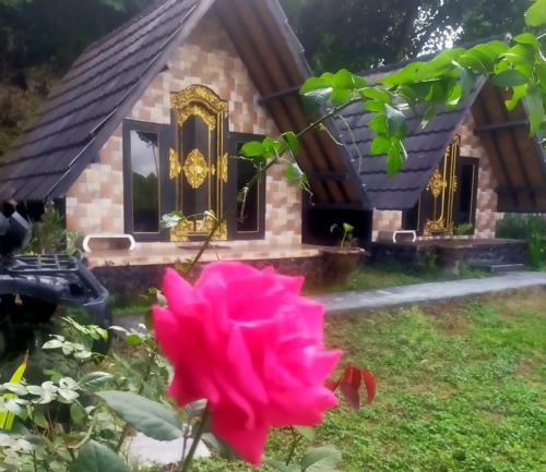 a red rose blooming in front of a house, Zelobi Venture in Bali