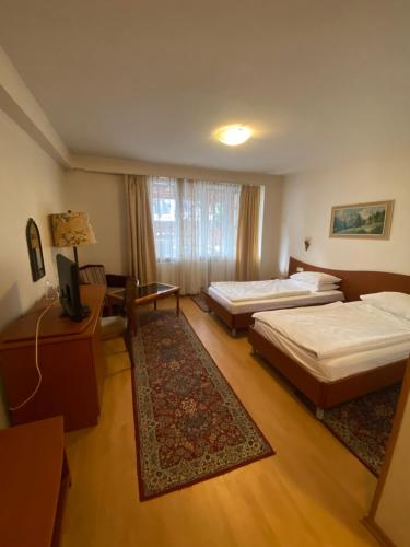 Family Hotel Zdravets, Sofie (fotografie 7)