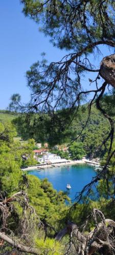 Skopelos country house Diamantis & Chrisi