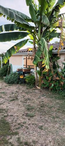 . Logement TypeF2 meublé