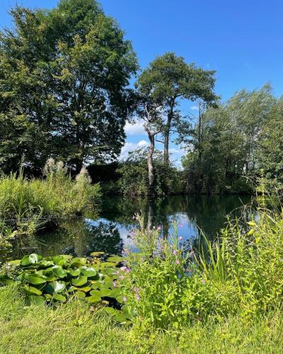 A környék, Kingfisher Cabin - Wild Escapes Wrenbury off grid glamping - ages 12 and over in Wrenbury