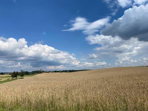 Hof Türke - image 10