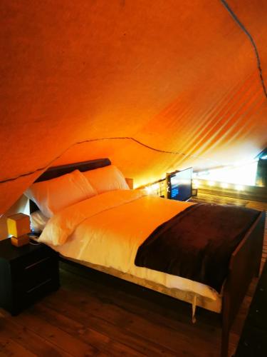 Glamping For Grown up's in Portlaoise