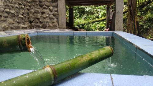 Swimming pool, Cabanas Manakins in San Miguel de Los Bancos