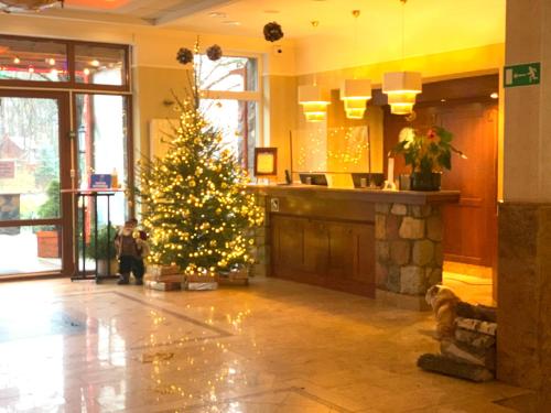 Hotel Albatros in Serwy