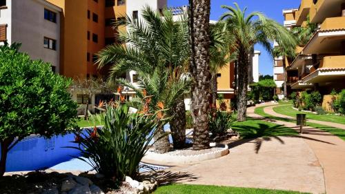 Apartamento La Entrada in Punta Prima