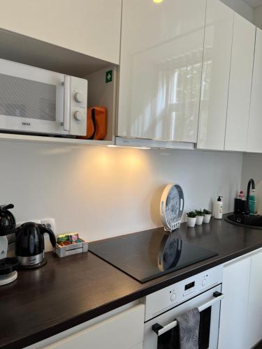 Vabriku 6 Apartment with sauna