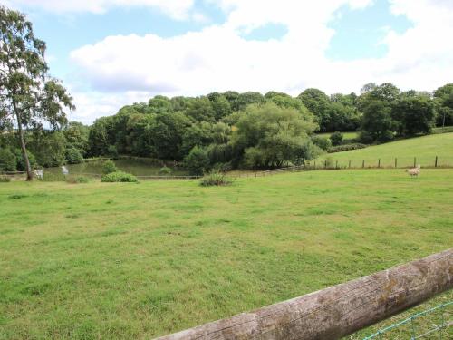 Shatterford Lakes