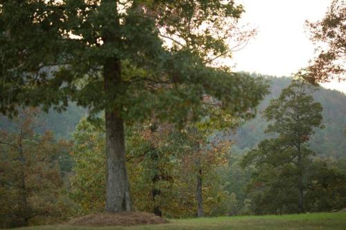 Stonehill Cottages