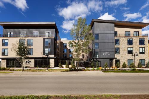 Indigo - Silverthorne an IHG Hotel - image 14