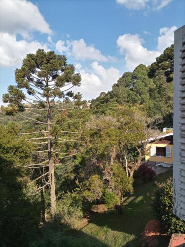 Superior Quadruple Room room in Pousada Confraria da Terra