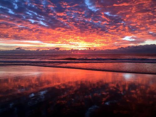 BEACHSIDE/ PARADISE BEST VIEWS GOLD COAST