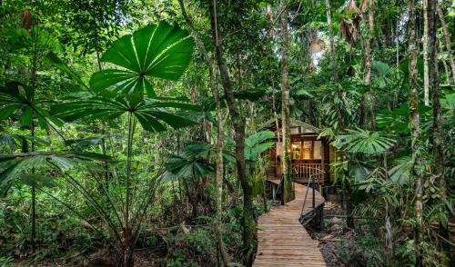 Daintree Wilderness Lodge