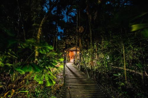 ทัศนียภาพภายนอกโรงแรม, เดนทรีไวลด์เดอร์เนสลอดจ์ (Daintree Wilderness Lodge) in เดนทรี