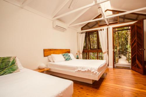 Daintree Wilderness Lodge - Tap to explore photos