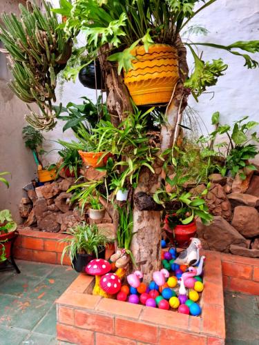 Hostal Jardín de Luque Hostal Jardín de Luque