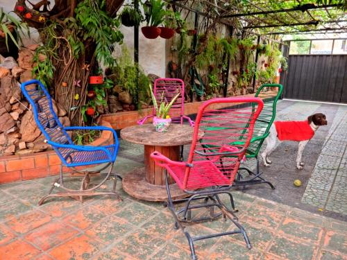 設施, Hostal Jardín de Luque (Hostal Jardin de Luque) in 聖洛倫索海灘