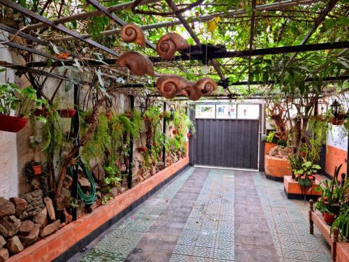 Hostal Jardín de Luque Hostal Jardín de Luque