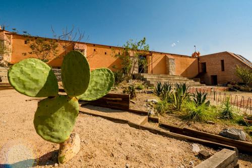 Ex Hacienda San José – Oaxaca, LA