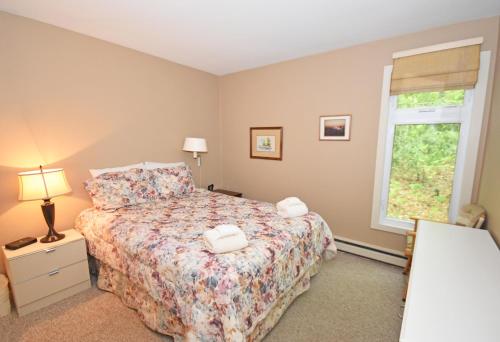 Wilderness 45 in Glen Arbor, USA