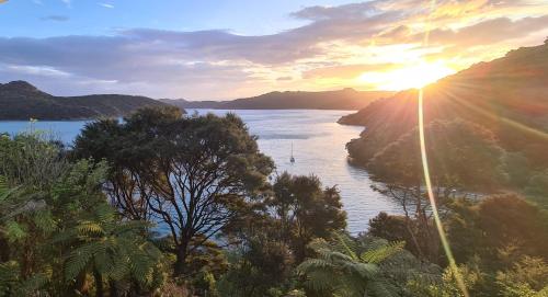 Boho Hill Apartment - Great Barrier Island Escape in Great Barrier Island