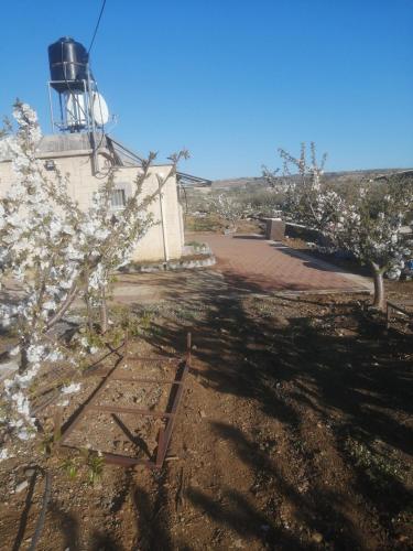 הבית בשדה הדובדבן cherry house