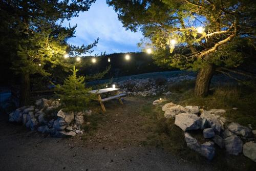 Bel appartement type chalet avec balneo et jardin