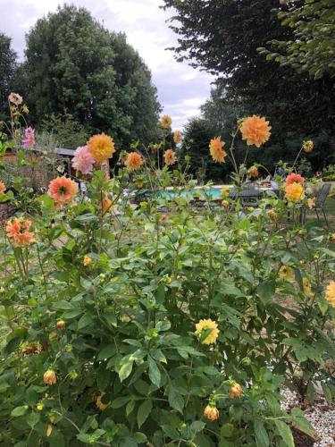 Gîte Les Dahlias