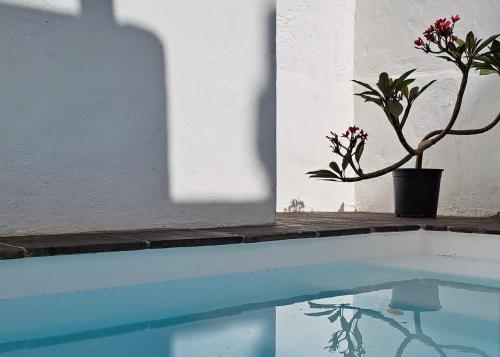 Fasiliti, Casa de las Flores - Hotel Boutique Lanzarote in Teguise