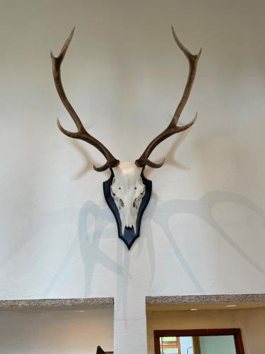  Dejligt hus på landet in Give