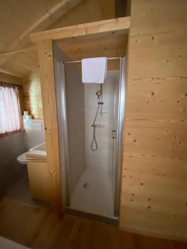 Fürdőszoba, Almhutte in Katschberghohe