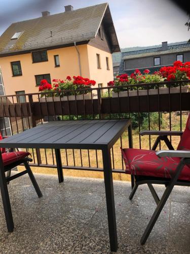 Ferienwohnung Wiesenblick in Schwarzburg