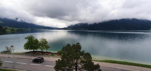 Ferienwohnung Ägerisee