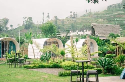 Glamour camping bedugul near Ulun Danu Bratan Temple