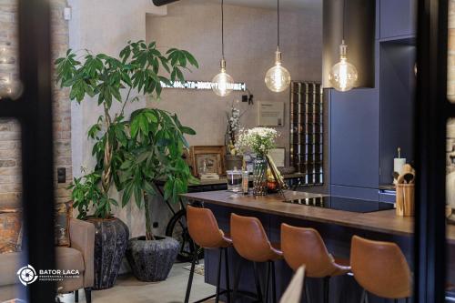 Bükk Penthouse - image 4