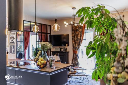 Bükk Penthouse - image 3