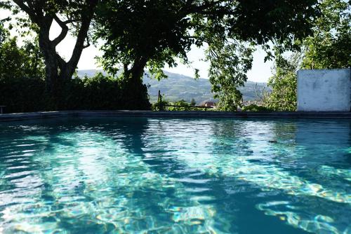 Quinta de Villa Franca - Douro gîte à louer Peso da Régua