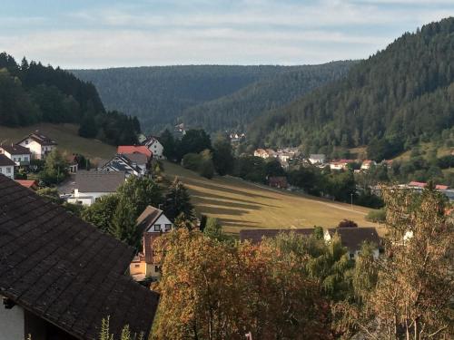 Waldblick in Baiersbronn, Deutschland
