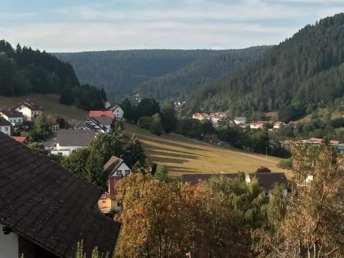Waldblick in Baiersbronn, Deutschland