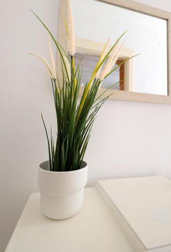 Feidiou 1, Egina (zdjęcie 5)