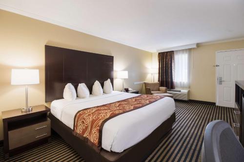Best Western - McKenzie in McKenzie, USA