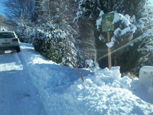 Chalet Basse-sur-le-Rupt 5 pièces 6 personnes - FR-1-589-18 - image 12