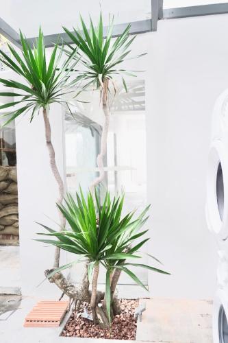 Express by M Village Tú Xương, a brand of Modern Village Lifestyle – Ho Chi Minh City, LA