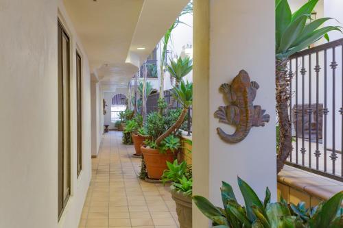 Valentina #301 - image 9