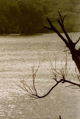  villa eventi in Piana degli Albanesi