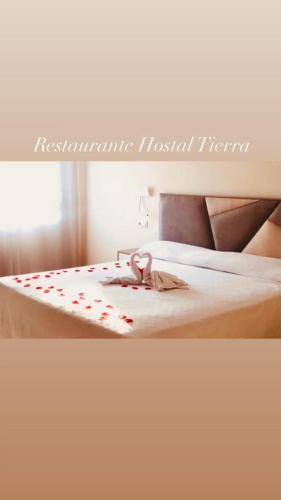 Hotel Tierra