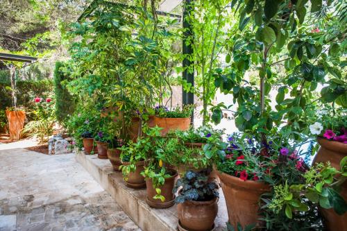 Apartamentos Cala Murada Minigolf