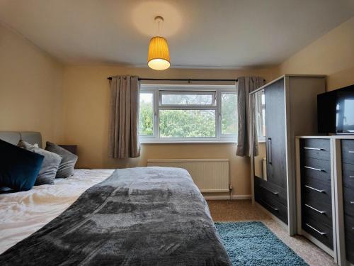 Piping House 4bedroom in Colden Common