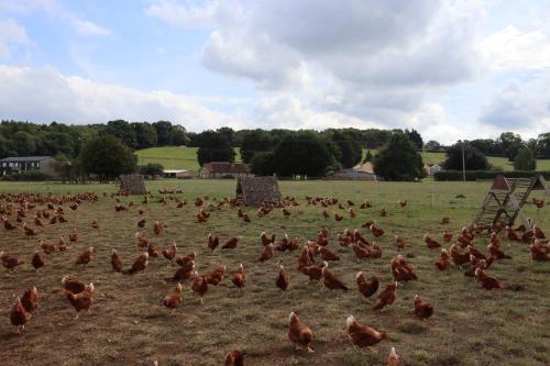 The Anchorage Nables Farm