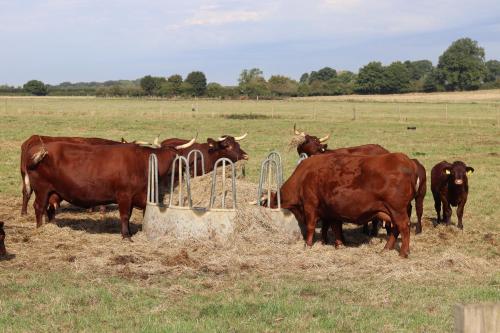 The Anchorage Nables Farm